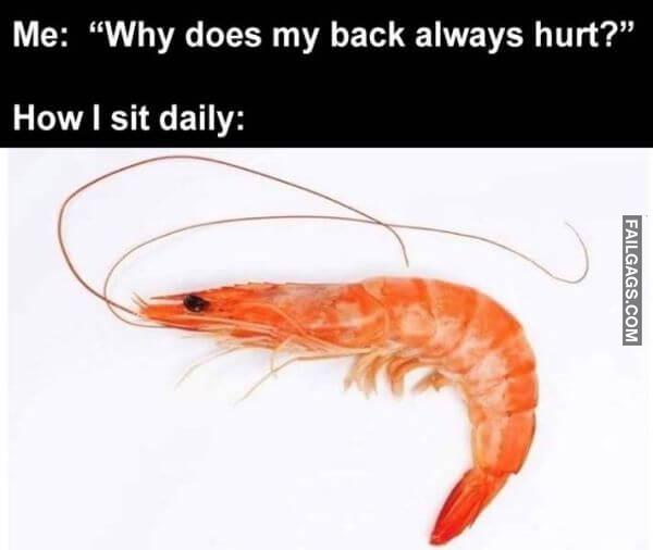 Random Funny Memes 12 9