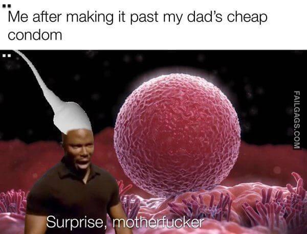 Random Funny Memes 12