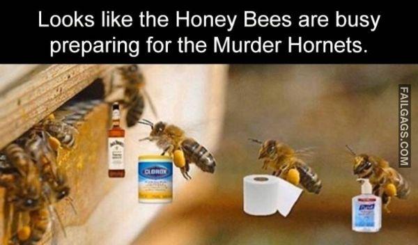 Random Funny Memes 13 2