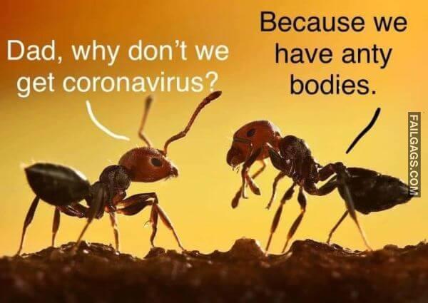 Random Funny Memes 14 10