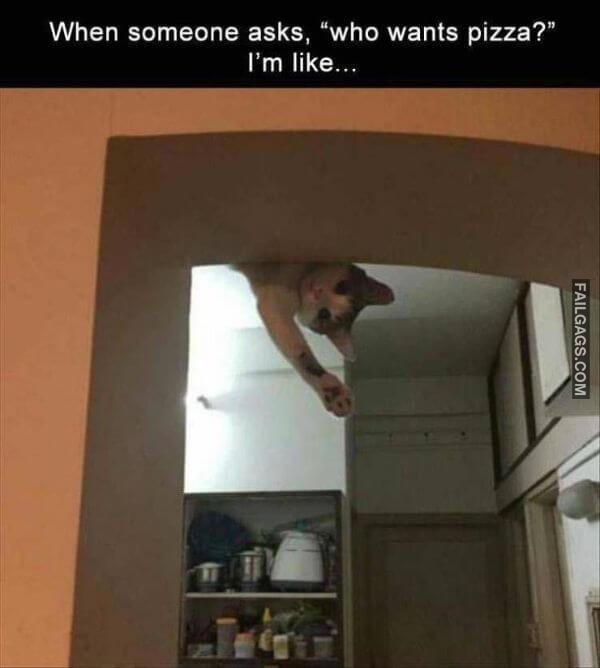 Random Funny Memes 15 1