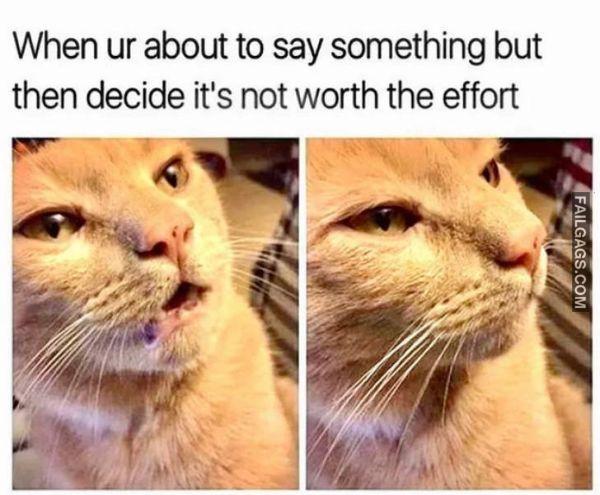 Random Funny Memes 16 2