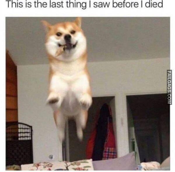 Random Funny Memes 18 5