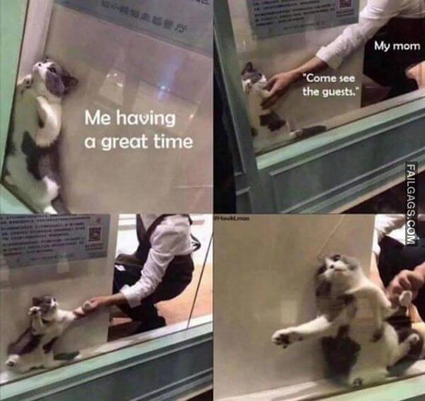 Random Funny Memes 18 6