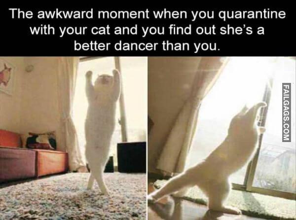 Random Funny Memes 19 2