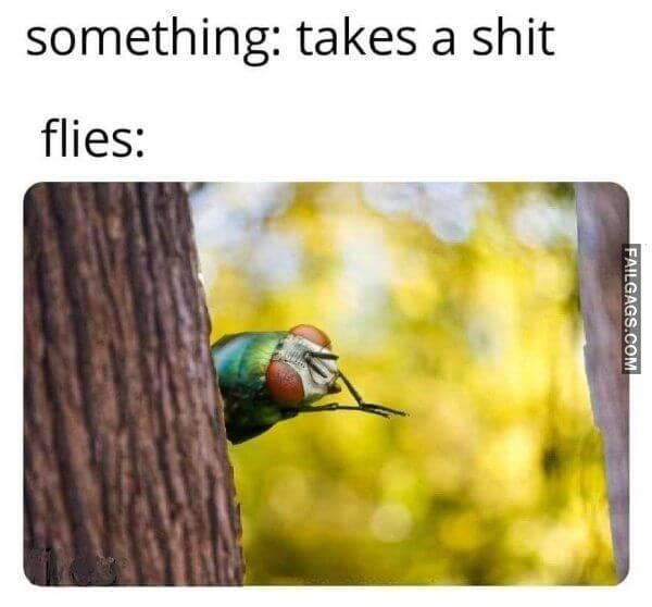 Random Funny Memes 5 10