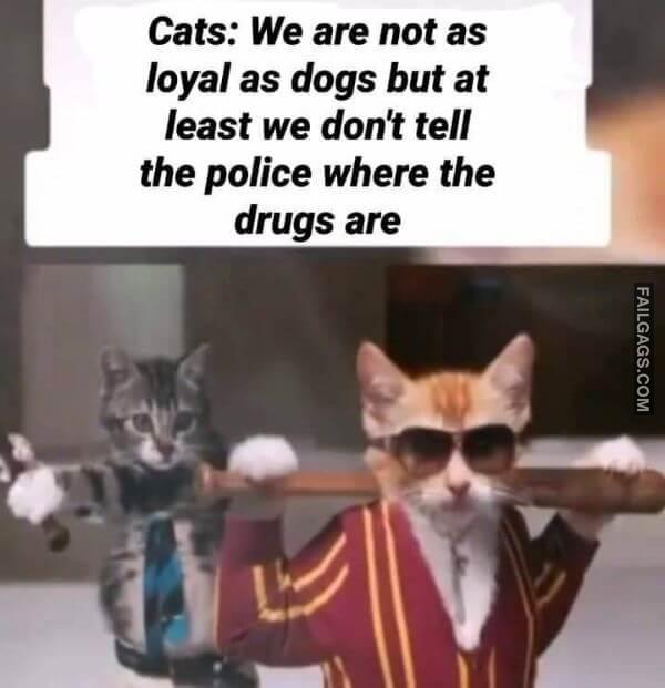 Random Funny Memes 6 6