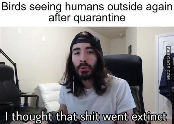 Random Funny Memes 8 3