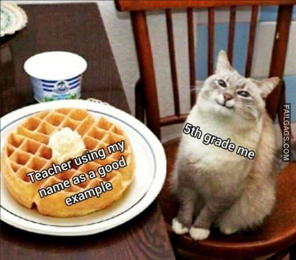 Random Funny Memes 8 6