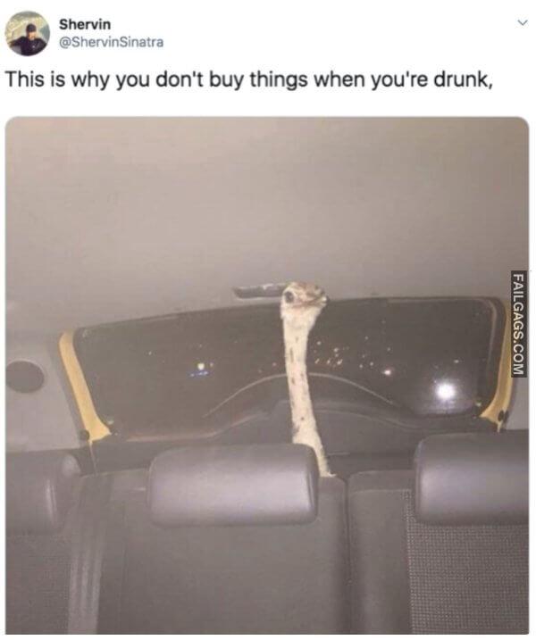 funny Alcohol Jokes 8