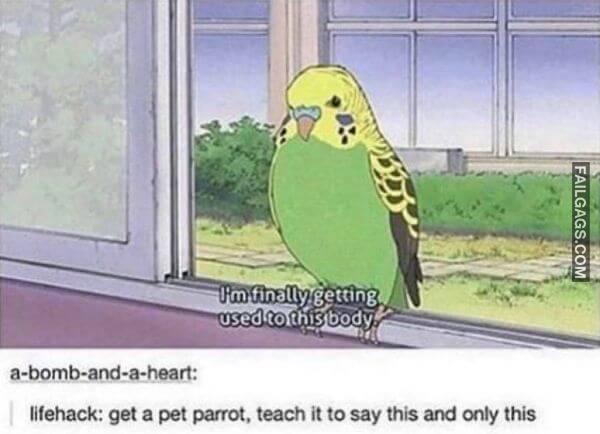 funny Life Tips That Will Never Work 14