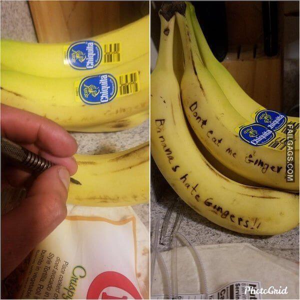 funny Roommate Stories 12