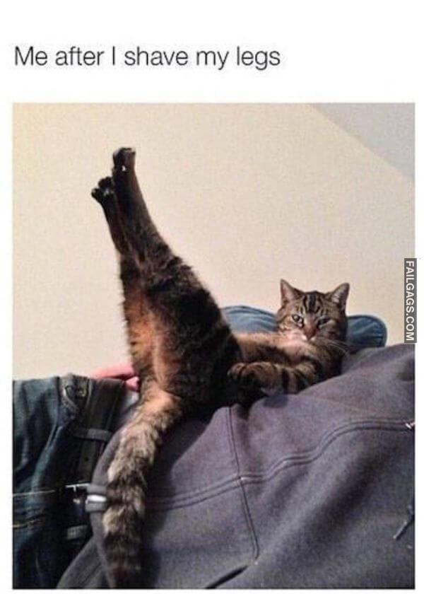 funny memes about girls 12