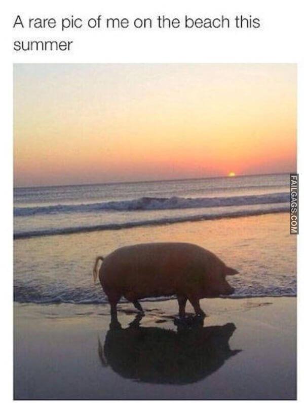 funny memes about girls 13