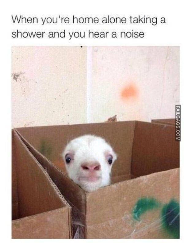 funny memes about girls 16