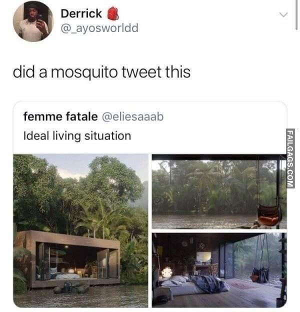 Funniest tweets ever 17