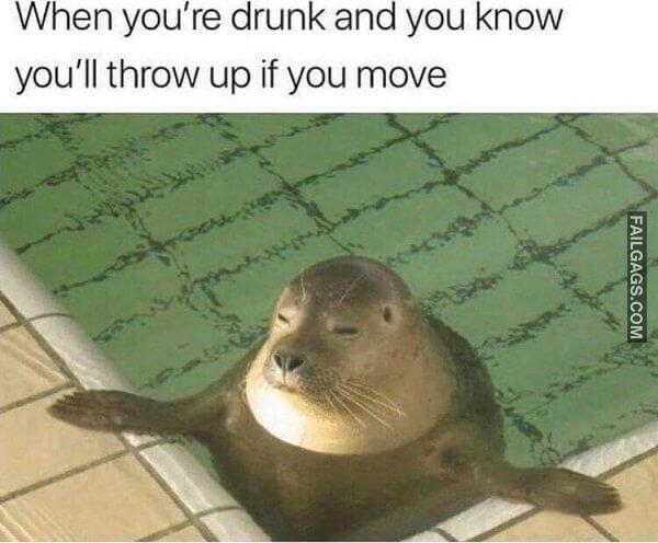 Funny Alcohol Memes 11