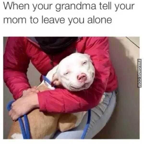 Funny Grandma Memes 14
