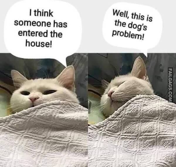 Random Funny Memes 1 1