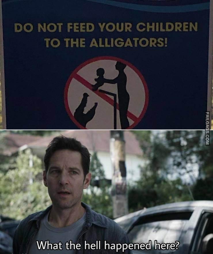 Random Funny Memes 1 2