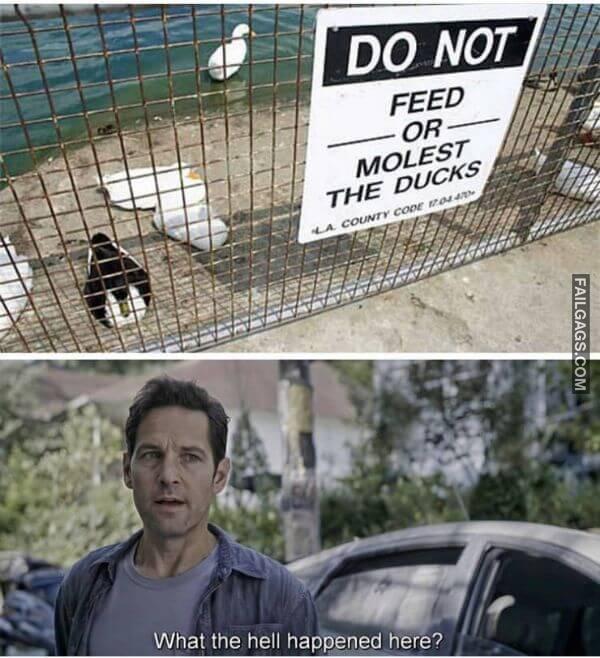 Random Funny Memes 11 5