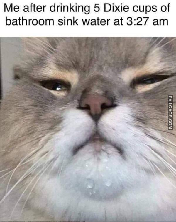 Random Funny Memes 11 8