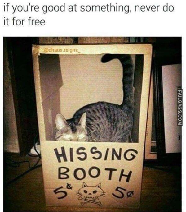 Random Funny Memes 12 8