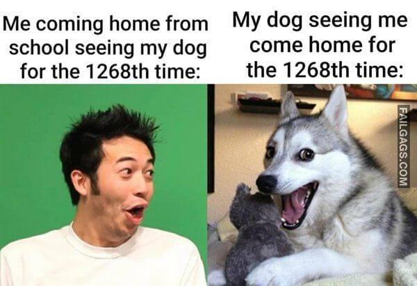 Random Funny Memes 15 10