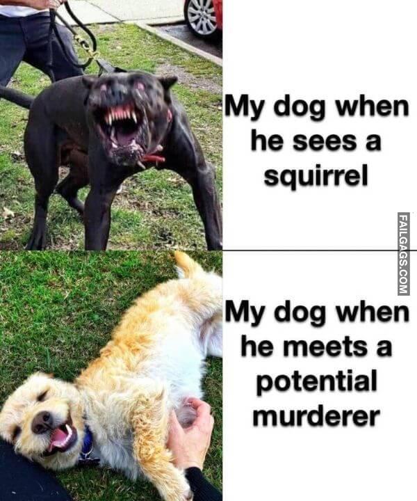 Random Funny Memes 15 3