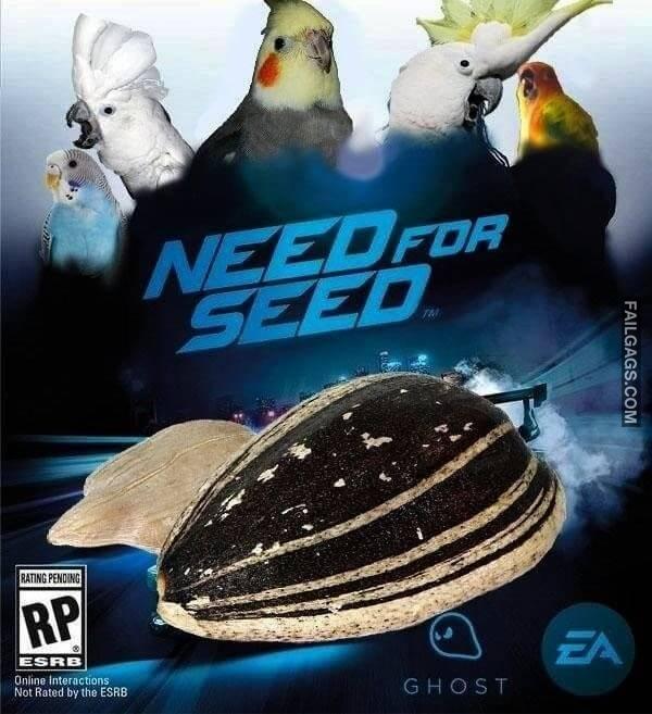 Random Funny Memes 15