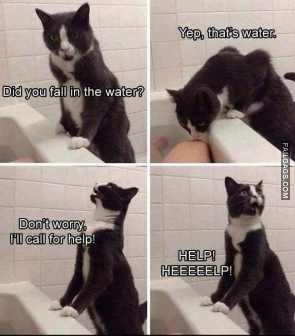 Random Funny Memes 16