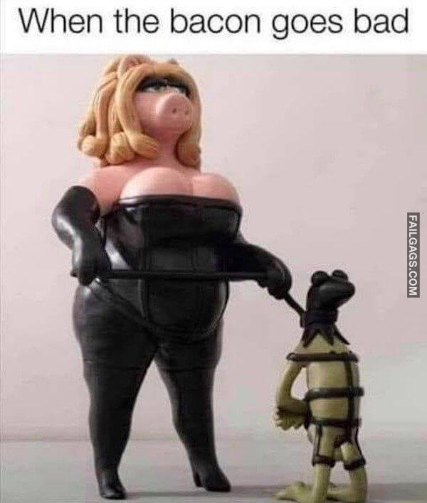 Random Funny Memes 18 10