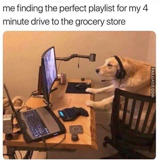 Random Funny Memes 18 6