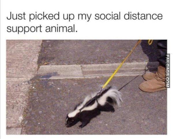 Random Funny Memes 18 9