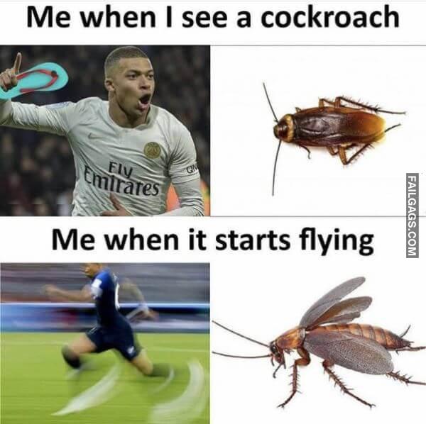 Random Funny Memes 19 5