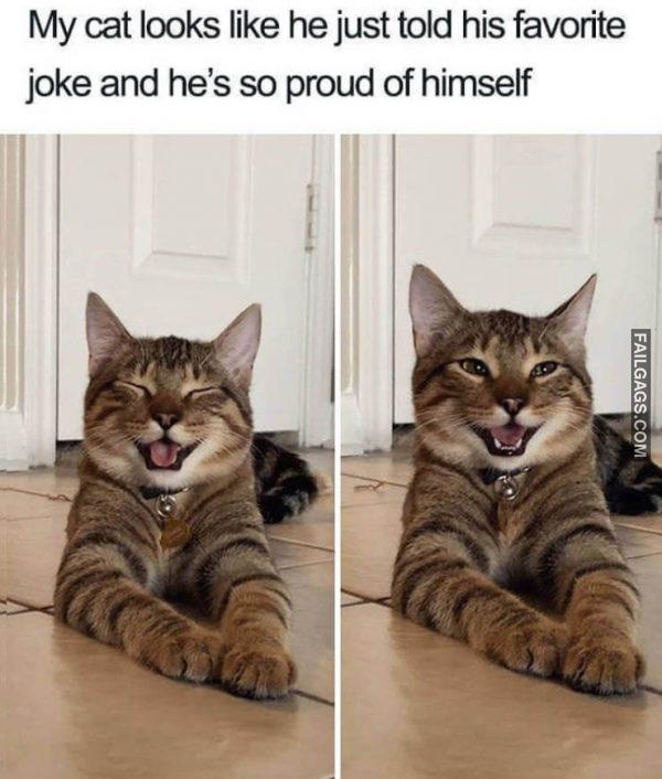 Random Funny Memes 3 1