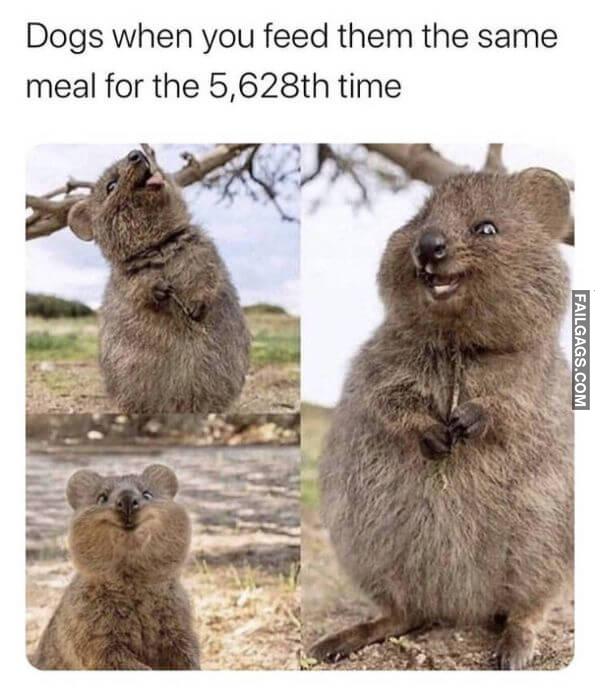 Random Funny Memes 3 6