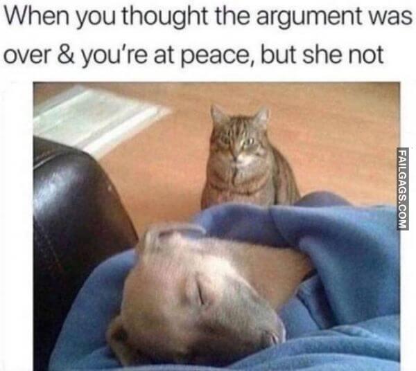 Random Funny Memes 3 7