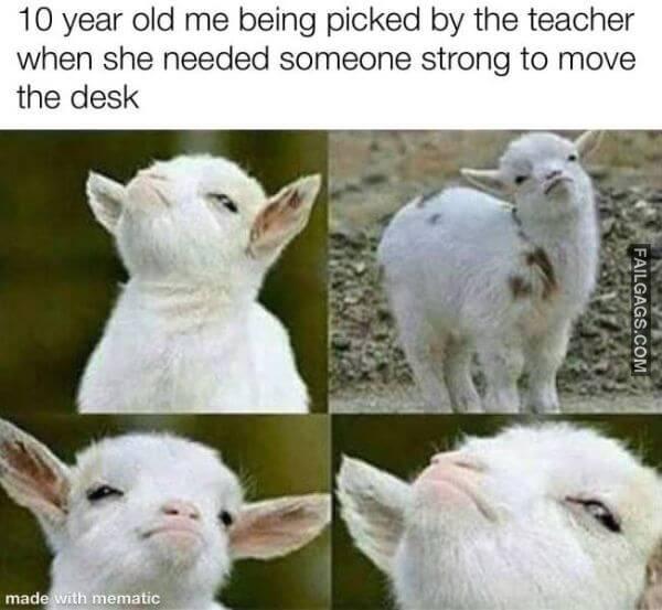 Random Funny Memes 5 13