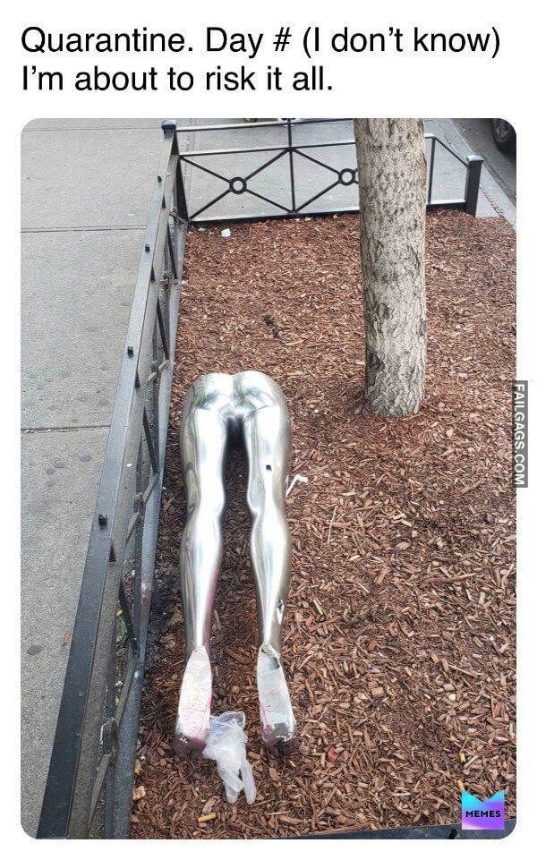 Random Funny Memes 6 11