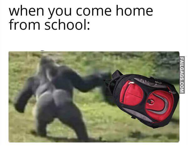 Random Funny Memes 6