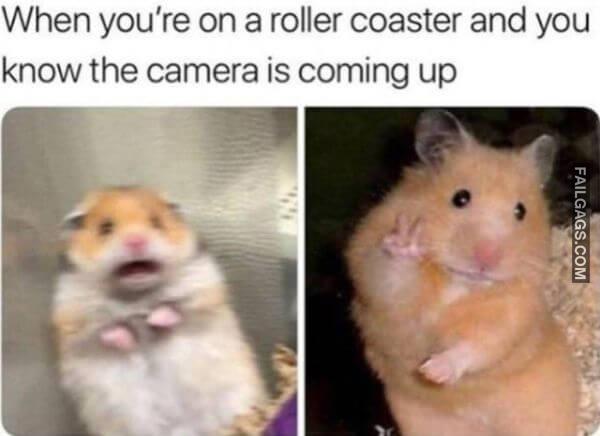 Random Funny Memes 7 8