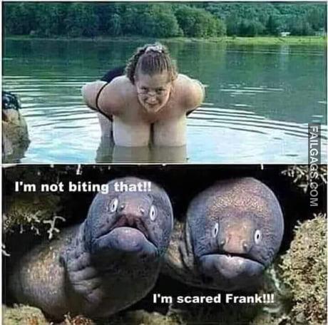 I'm Not Biting That!! I'm Scared Frank!!! Memes