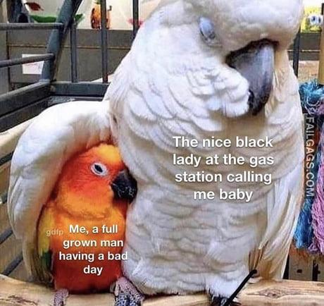 Me a Full Grown Man Having a Bad Day the Nice Black Lady at the Gas Station Calling Me Baby Memes