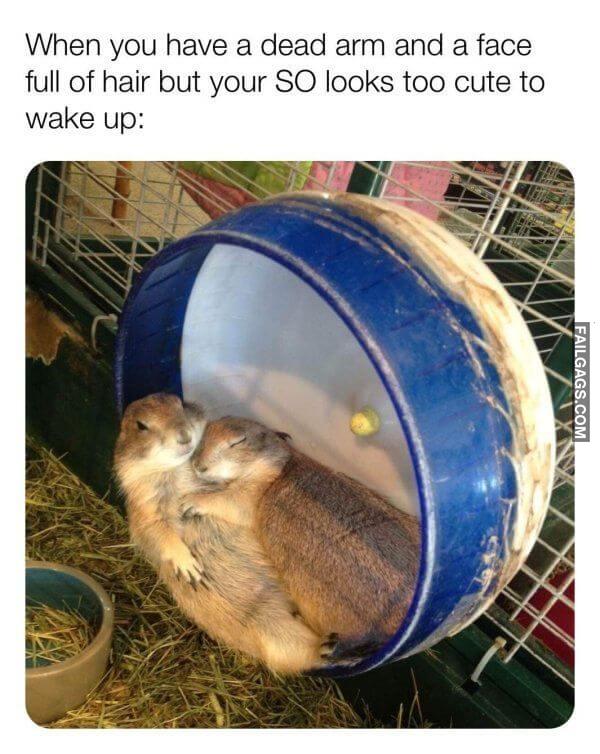 funny Flirtatious Memes 3