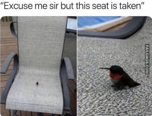 Random Funny Memes 10 2