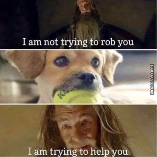 Random Funny Memes 12 10