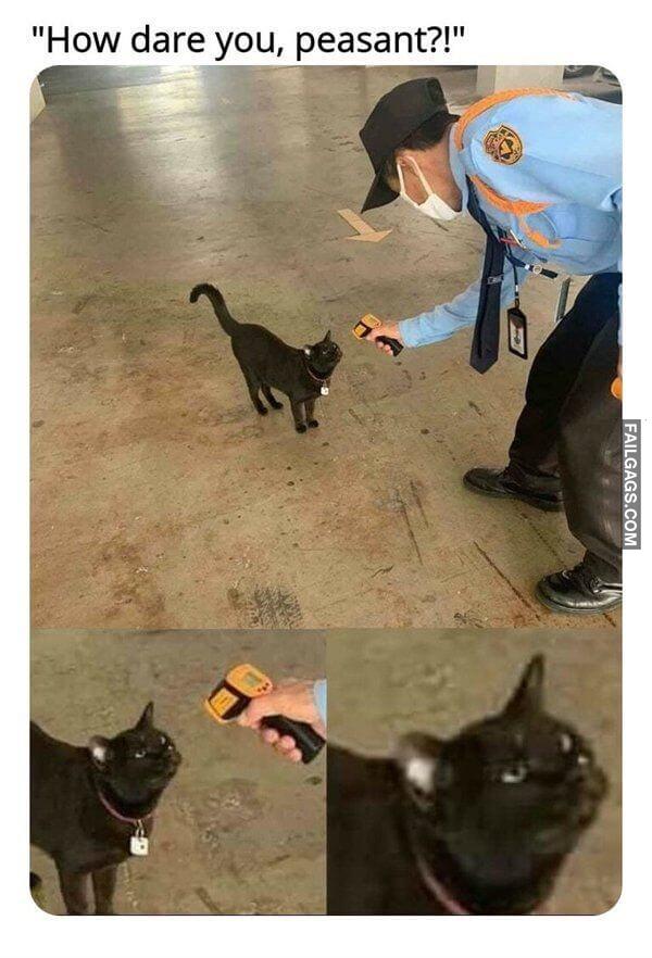 Random Funny Memes 12 2