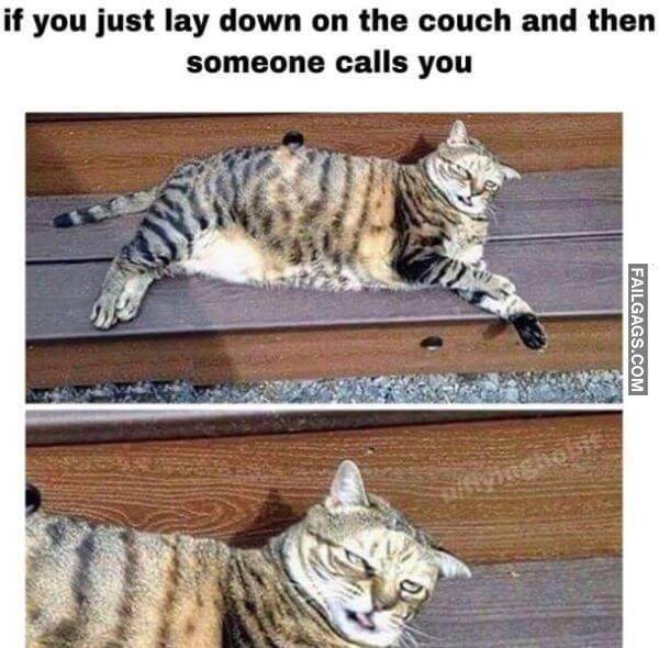 Random Funny Memes 12 8