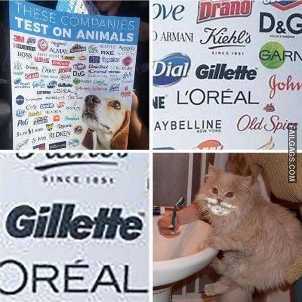 Random Funny Memes 13 10